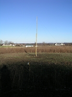  This is a typical vertical.  You can almost see the guy wires which double as a top hat.  It is made of three 12-foot 2x4s mounted on an 8-foot 2x4 buried in the ground.  The overall height is 23 feet.  The top hat wires are also 23 feet long, sloping at a 45-degree angle.  The combination of wire is resonant around 3.5 MHz.  With a 30 uH inductor, the resonance becomes about 1.83 MHz.  A series 68-ohm resistor and 16 25 foot radials brings the feed point impedance to 75 ohms.

The box in the foreground contains a relay and phasing line that switches the favored direction from northeast to southwest.  Power for the relay is decoupled from the feed line.